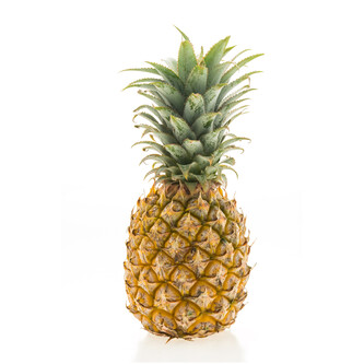 Fruit Pineapple Sample